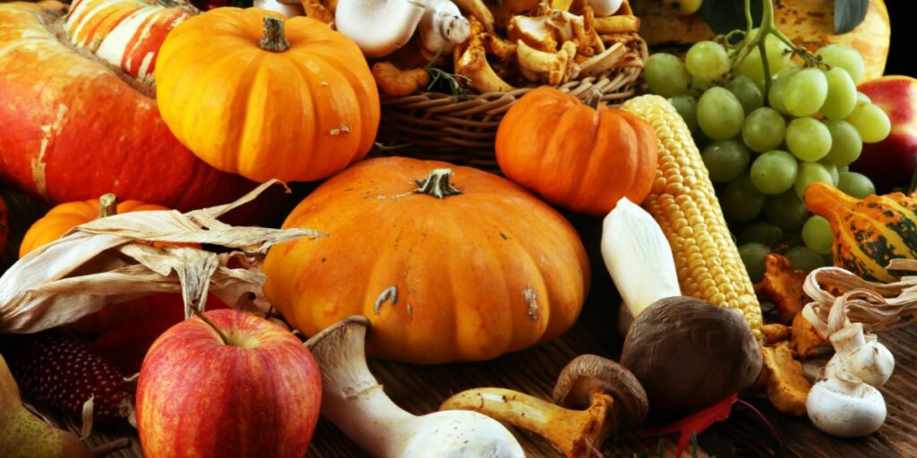 Assortiment de fruits et légumes d'automne prêts à être cuisiner