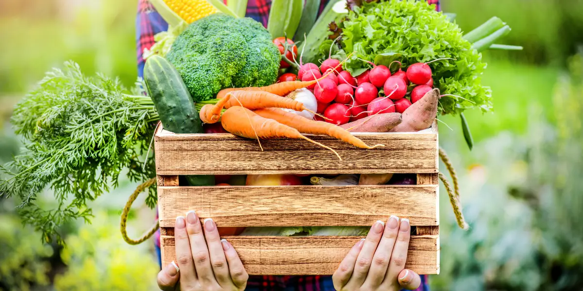 Une cliente dietplus tient une caisse de légumes pleins de fibres alimentaires.