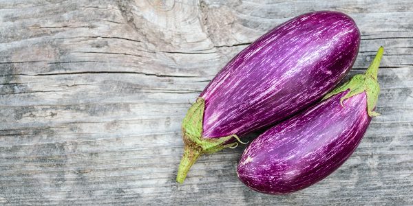 AUBERGINE-1200x600