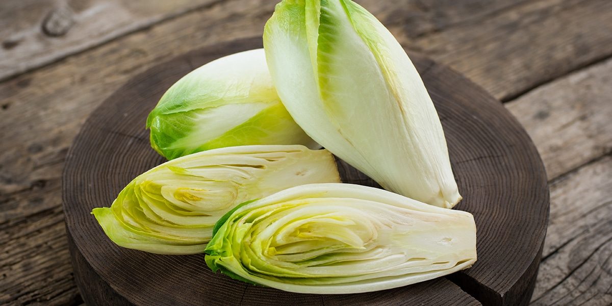 ENDIVE